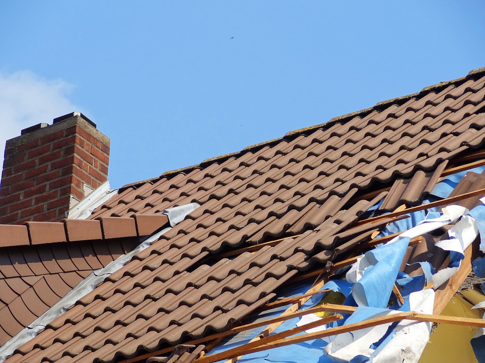 Need a roof repair!